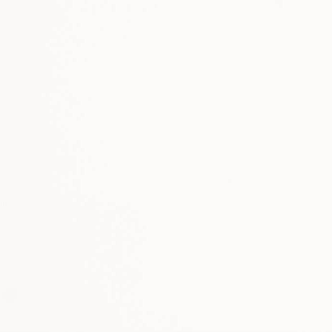 Keramische binnentegel CeraVision Vantage Blanco Mate 40x120x1,25cm - 2 00277015 vantage blanco mate 40x120 stuk 1 - 13314