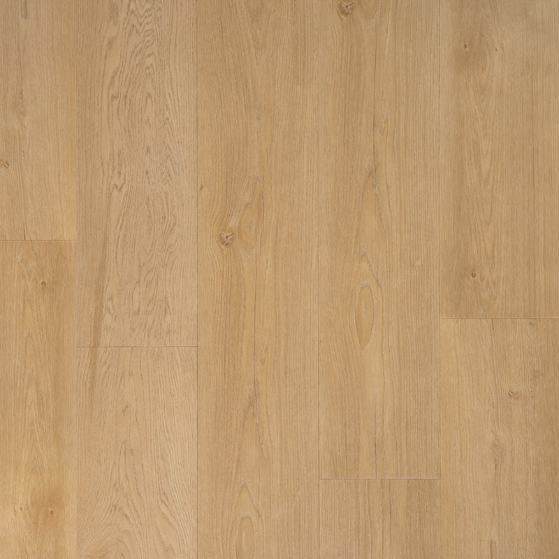Douwes Dekker Ambitieus Riante plank Boterkoek (plak PVC) 04728 - Dd pvc dryback riante plank boterkoek 1 - 3861