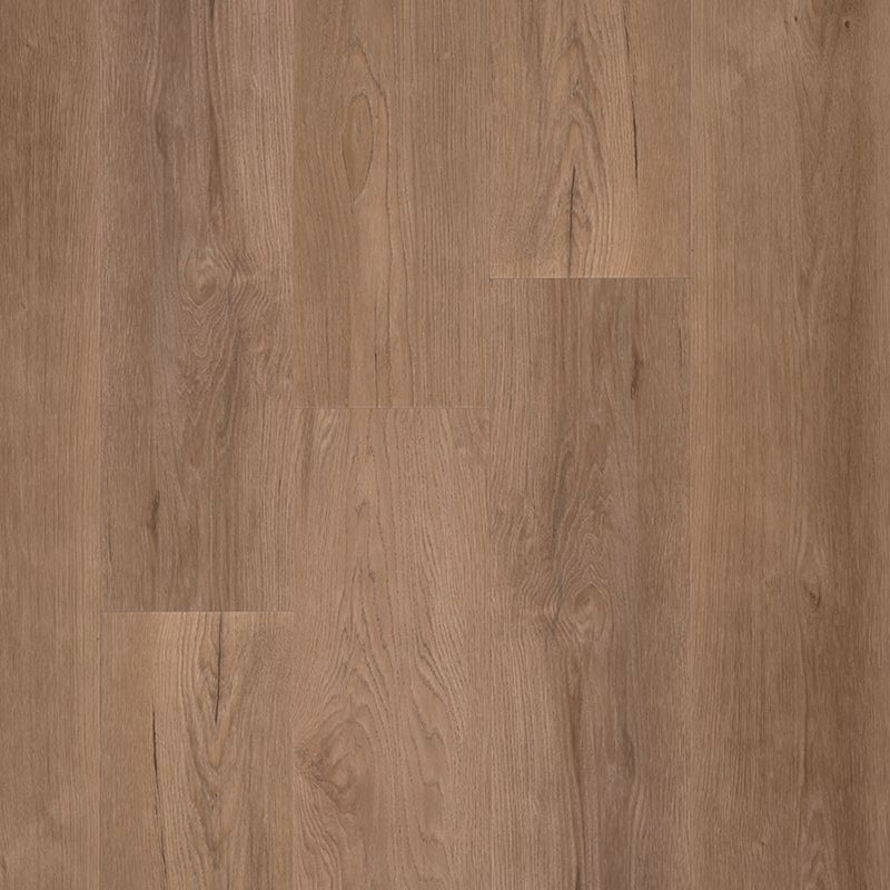 Douwes Dekker Ambitieus Riante plank Spekkoek (klik PVC) 04870 - Dd pvc riante plank spekkoek 1 - 3668
