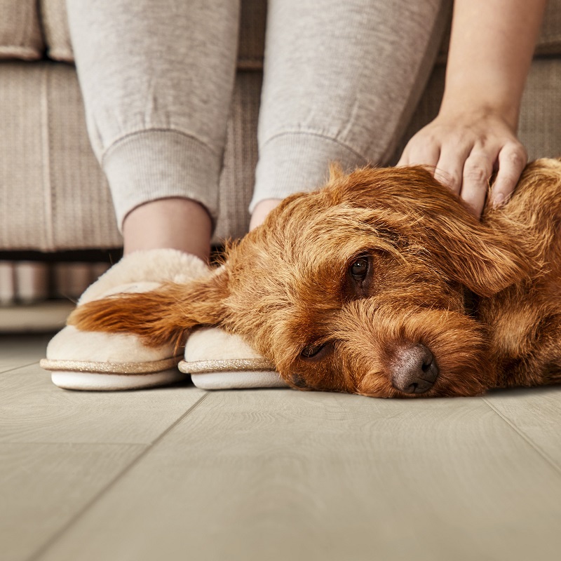 Coretec Klik PVC Naturals V2 Flora 28776 50 LVRE 2554 - Flora 50 lvre 2554 dog sfeer - 9533