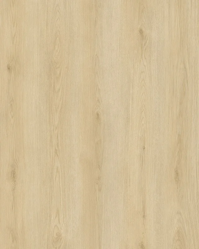 Hoomline City Dryback 55 Plank Apeldoorn 6045 (plak PVC) - Hoomline city dryback 55 plank apeldoorn 6045 plak pvc 1 1 - Hoomline dryback 6045