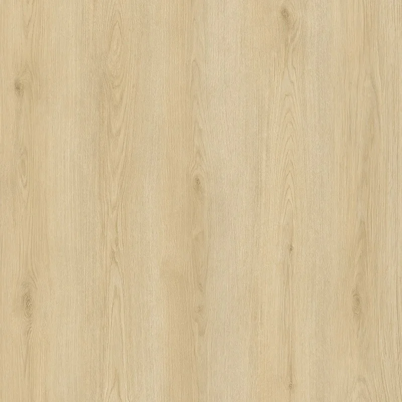 Hoomline City Dryback 55 Plank Apeldoorn 6045 (plak PVC) - Hoomline city dryback 55 plank apeldoorn 6045 plak pvc 1 - Hoomline dryback 6045