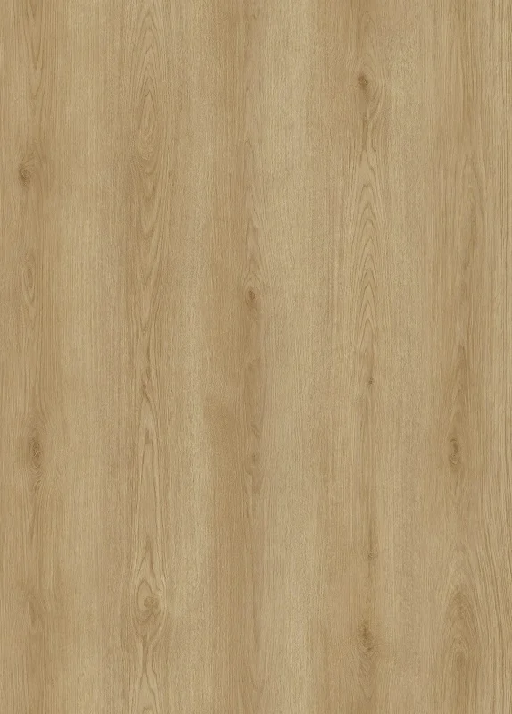 Hoomline City Dryback 55 Plank Nijmegen 6047 (plak PVC) - Hoomline city dryback 55 plank nijmegen 6047 plak pvc 1 - Hoomline dryback 6047