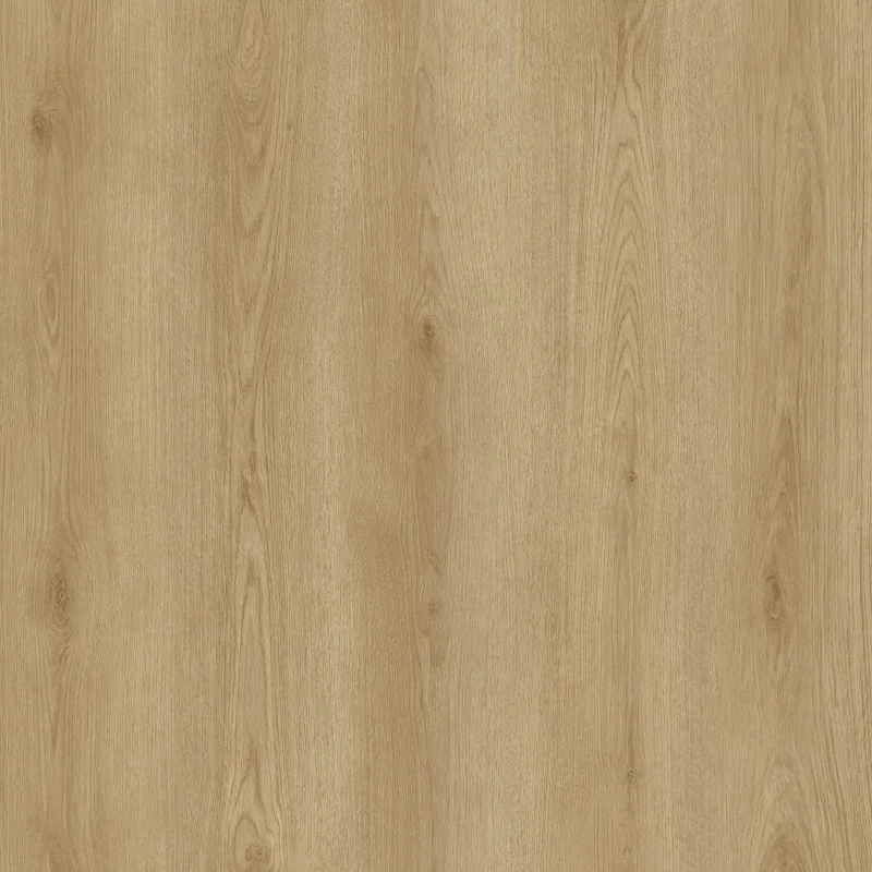 Hoomline City Dryback 55 Plank Nijmegen 6047 (plak PVC) - Hoomline city dryback 55 plank nijmegen 6047 plak pvc - Hoomline dryback 6047