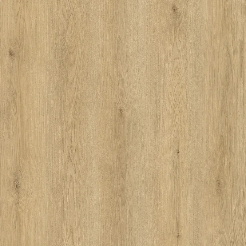 Hoomline City Dryback 55 Plank Zwolle 6008 (plak PVC)