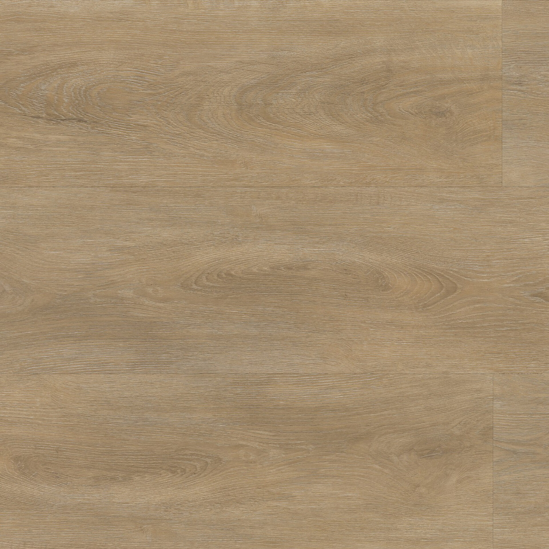 Ambiant Robusto click SRC natural oak 6155255519 - Natural oak - 21612