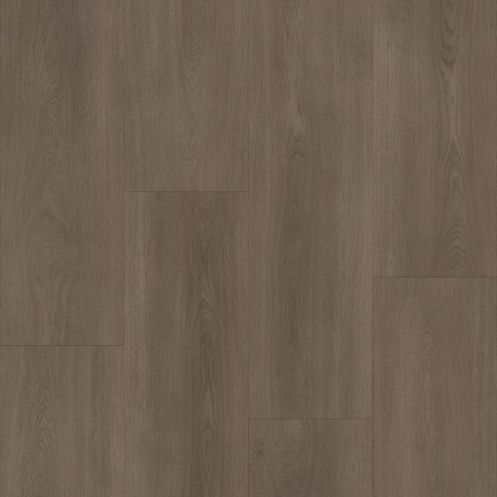 Bodiax BP590 Royal BP590592 Majestic - Royal 592 majestic - 12865