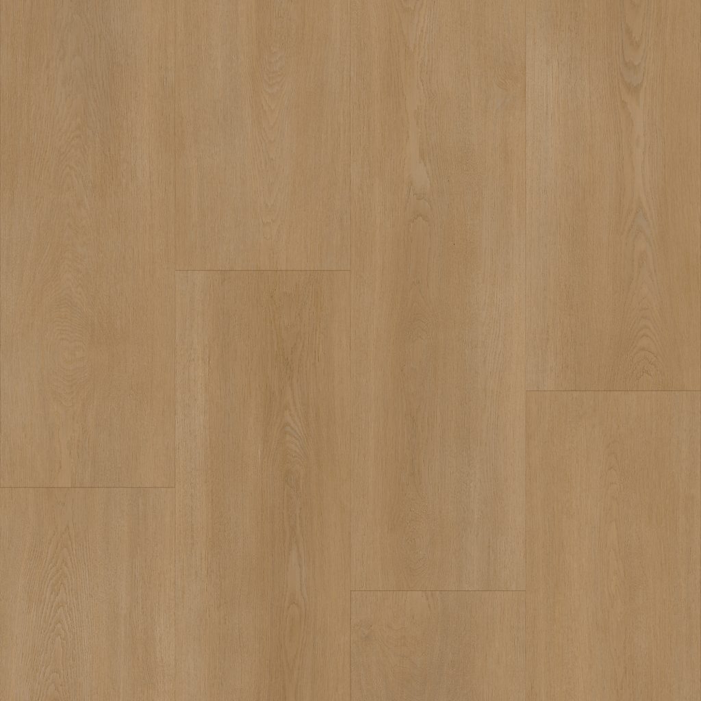 Bodiax BP590 Royal BP590594 Vendome - Vendome royal - 12870